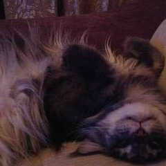 Татьяна Балакирева, Москва