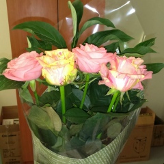 Дина Тогандыкова, 04.07.1985, Астана