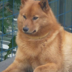 Наталья Морозова, 16.11.1964, Санкт-Петербург