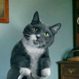 Дмитрий Окунев, 22.06.1985, Москва