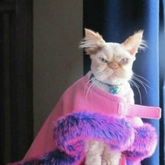 Марина Онищенко, 02.04