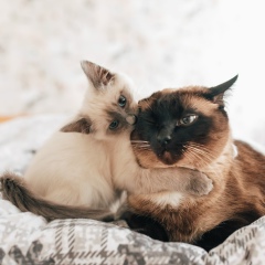 Оля Небесова, 13.05.1989, Hannover