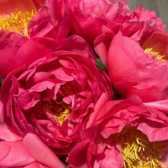 Арина Ясницкая, 24.08, Москва