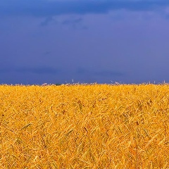 Юра Юрчук, 08.05, Пляшевая