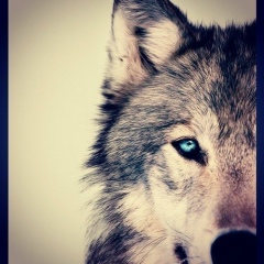 Sultan Yergeshov, 11.12.1996, Шымкент