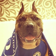 Саид Муталов