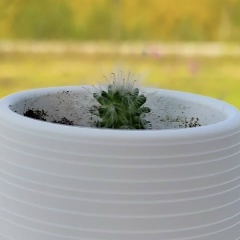 Сергей Мардух Мадайкин, 07.03