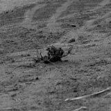 Дима Шайдуров, Селенгинск