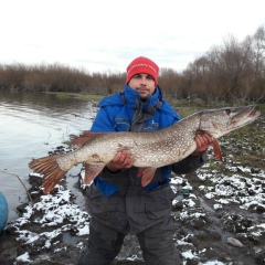 Александр Рубцов, 06.02.1984, Уфа