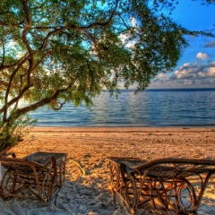 Антон Корышков, 12.02.1977, Ярославль