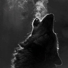 Серёга Костов, 30.07, Губкинский