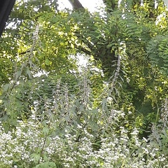 Ислам Пошуев, 13.10.1982