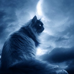 Мария Иванова, 30.10, Минск