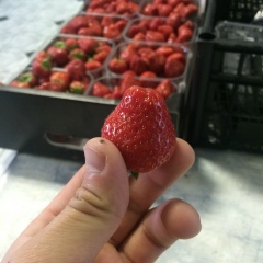 Дурус Паязов, 14.07.1992, Москва