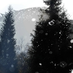 Chingis Ahmetzhanov, Алматы