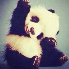 Маргарита Саркисян, 08.01.1996, Краснодар