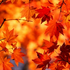 Инна В, Москва