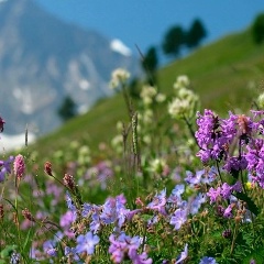 Эльвира Шамсутдинова, 23.04, Нягань