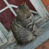 Света Семенова, 09.07, Березовский