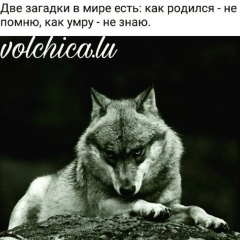 Ринат Ашимович, 20.06.1984, Алматы