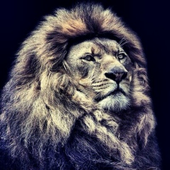 Гасбулла Магомедов, 21.04.1996, Акуша