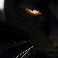 Жанна Кузнецова, 04.08, Санкт-Петербург