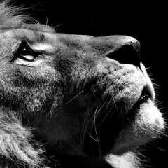 Азамат Кауфов, 14.06.1990, Berlin