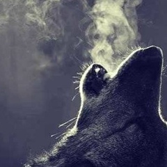 Рустам Солумов, 09.06.1988, Грозный