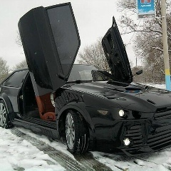 Антон Бойцов