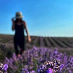 Мадина Шарипова, 13.10, Москва