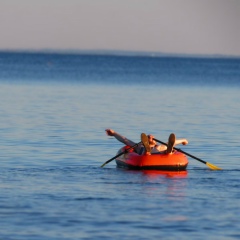 Александр Рябцев, 29.04, Санкт-Петербург