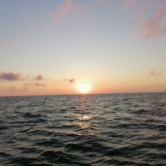 Юрий Тиханов, 28.09.1976, Вологда