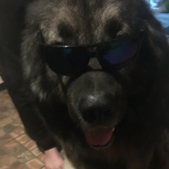 Оксана Петрова, 25.09, Тюмень