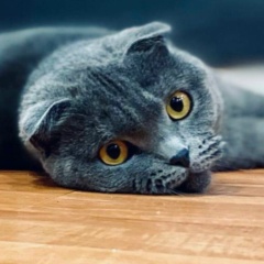 Анна Сизых, 04.08, Калининград