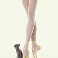 Indira Adamova, 04.11.2007