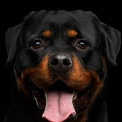 Антон Тертычный, 30.04, Санкт-Петербург