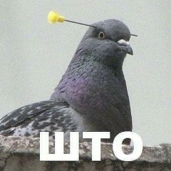 Маринэ Сова, 12.09.1988, Москва