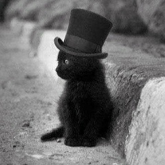 Забава Путятична, Москва