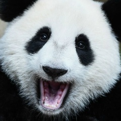 Максим Фетисов, Москва