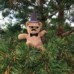 Мишка Бурый, 24.01.1990, Москва