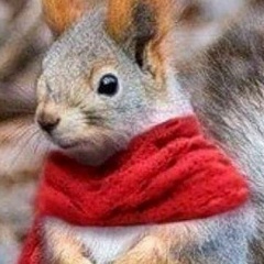 Элина Афлятунова, 28.04.1985, Уфа