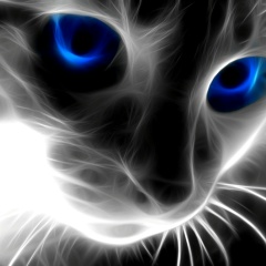 Дмитрий Вершина, 18.09, Москва