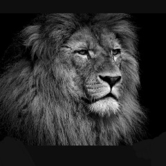 Kanat Bazarbekov, 11.12, Алматы