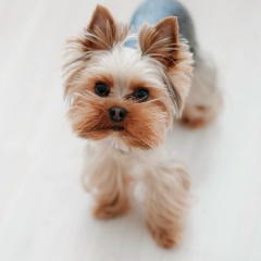 Ольга Волкова, Санкт-Петербург