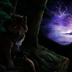 Есен Байбулов, Алматы