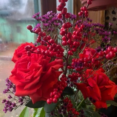 Юлия Медведенко, 23.10, Санкт-Петербург