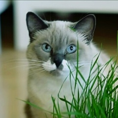 Мария Корелова, 01.12, Санкт-Петербург