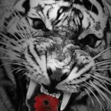 Алексей Жуков, Москва