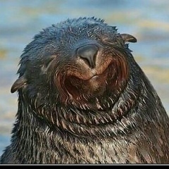 Милана Чигаева, 07.05.1990, Калуга