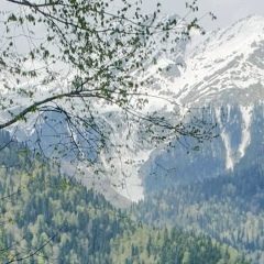 Наталья Хашимова, 04.11, Волгоград